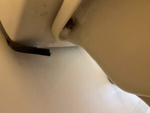 タンクと便器の接続部分。この付近から水がにじみ出ていました